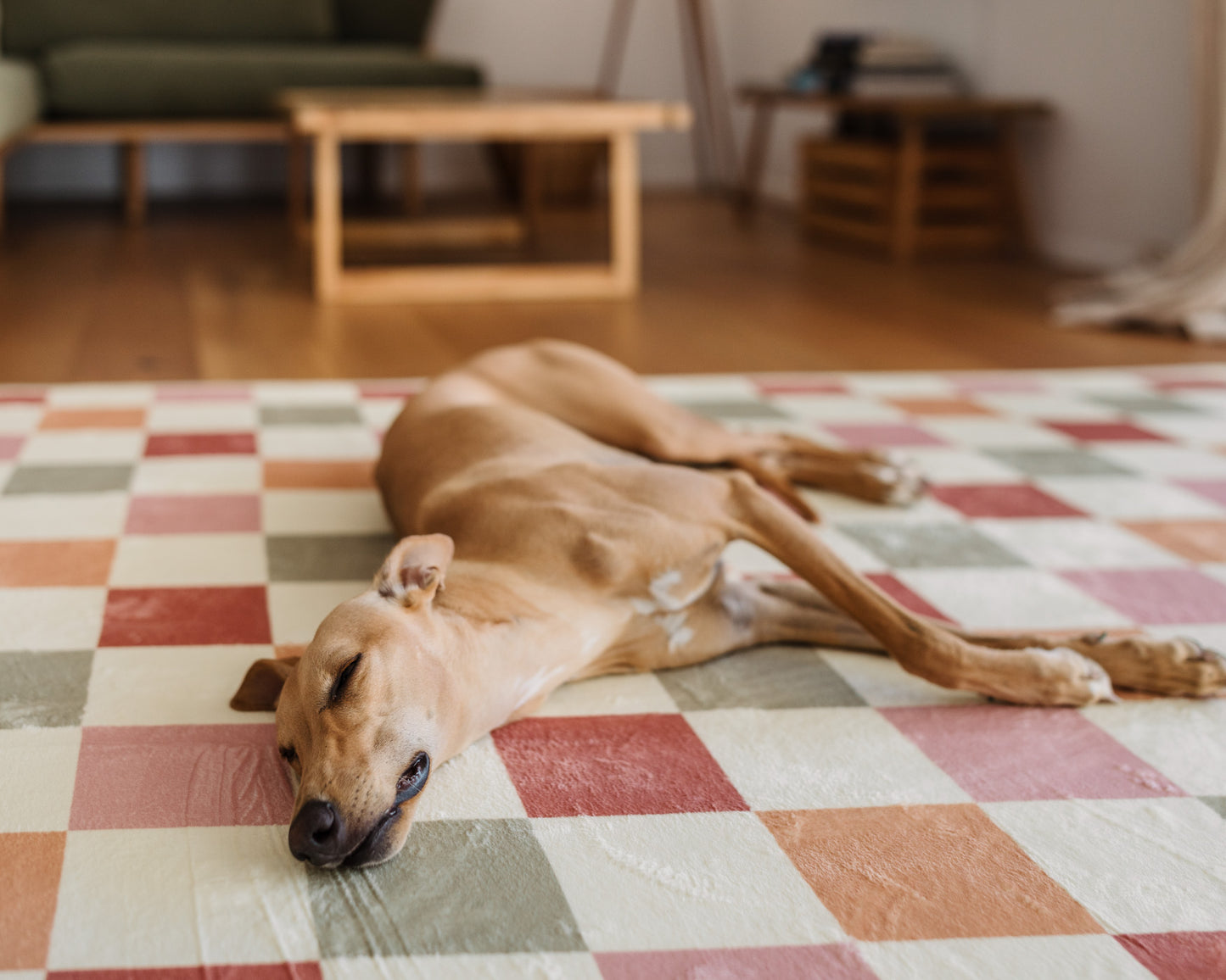 The Colourful Check Mat