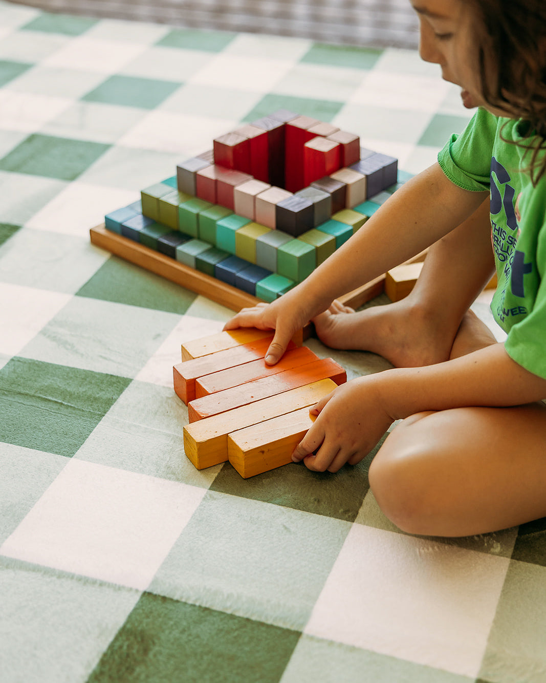 PREORDER The Sage Gingham