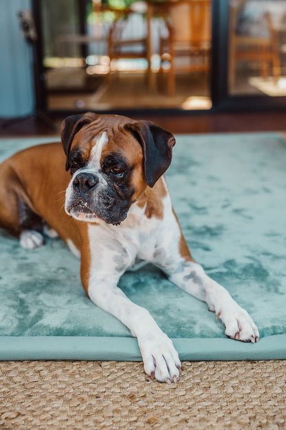 The Essential Mat - Simplicity Solid Colour Range