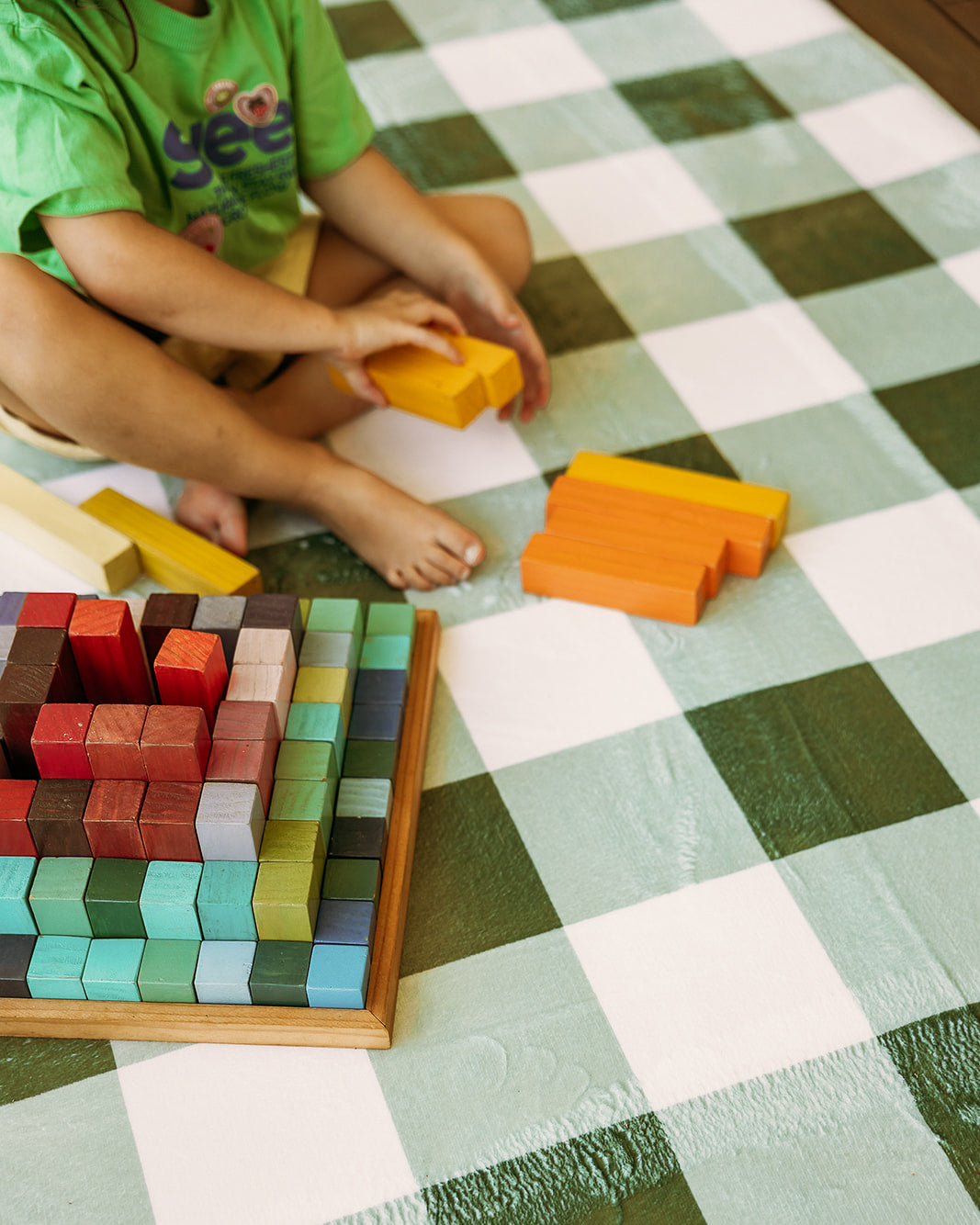 PREORDER The Sage Gingham