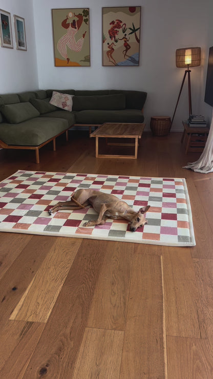 The Colourful Check Mat
